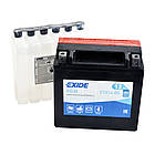 Мото акумулятор AGM ETX 14-BS EXIDE (12V, 12A), фото 2