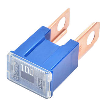 Запобіжник FJ Bosch FJ14 100A уп. 5 шт. 1987529074