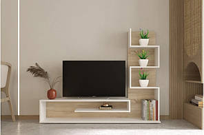 Сучасна відкрита довга вузька тумба під телевізор 160 см зі стелажем для книг у вітальню спальню Снейк