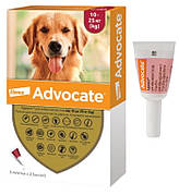 Адвокат для собак 10 - 25 кг Advocate краплі від бліх, кліщів глистів, 1 піпетка