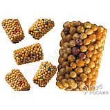 Добриво 75 г для кімнатних рослин Tablet Osmocote, фото 2