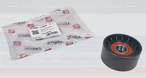 Ролік паса Генератора Renault Master II 2.2 dCi 01- Solgy 110004