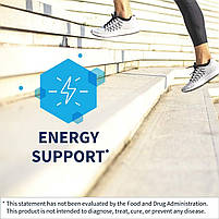 Ацетил L-карнітин 500 мг, Acetyl L-Carnitine, Klaire Labs, 90 вегетаріанських капсул. BX350, фото 5