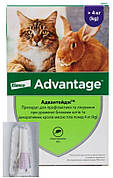 Адвантейдж Advantage краплі від бліх для котів і декоративних кроликів вагою понад 4 кг,, 1 піпетка