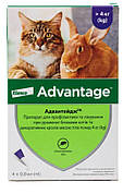 Адвантейдж Advantage краплі від бліх для кішок і декоративних кролів вагою більше 4 кг, 4 піпетки