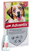 Адвантікс для собак 10 - 25 кг Advantix краплі від бліх і кліщів, 1 піпетка