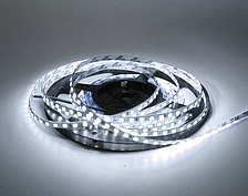 Світлодіодна стрічка UkrLed SMD2835 120d/m 5 mm IP33 (CW) 18000 K (20494)