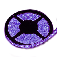 Світлодіодна стрічка UkrLed SMD5050 60d/m IP33 365-370 nm (ULTRAVIOLET) (20656)