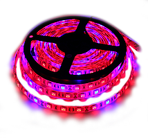 Світлодіодна стрічка UkrLed SMD5050 60d/m IP65 4R:1B (FITO) (20389)