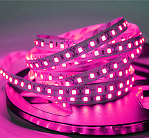 Світлодіодна стрічка UkrLed SMD2835 120d/m IP33 (PINK) (21004)