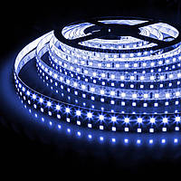 Світлодіодна стрічка UkrLed SMD 2835 120 шт./м Холодний Білий (17000К) (21067 201r)