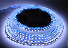 Світлодіодна стрічка UkrLed SMD2835 120d/m IP33 6500 K (CW) 201r (21135)