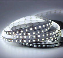 Світлодіодна стрічка UkrLed SMD2835 120d/m Eco IP33 (СW) (579)