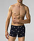 Труси-шорти атлантик боксерки atlantic 2MHH-001, фото 3