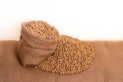 Насіння ультрараннів сої НСК Сперлінг, Еліта