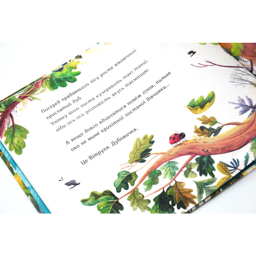 Product image preview