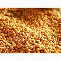 Насіння сої S0009-M2, Еліта