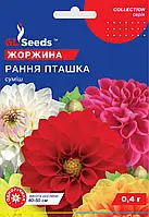 Георгіна рання Пташка компактний красиво та рясно квітучий суперранній сорт, упаковка 0,4 г