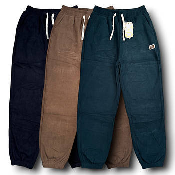 BLACK CYCLONE 1521 джогери вельвет на хутрі (2XL-6XL)