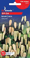 Злак Бриза Максима трясунка однорічна упаковка 0,25 г