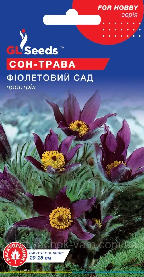 Сон-трава Фіолетовий Сад простріл багаторічна пакування 0,1 г
