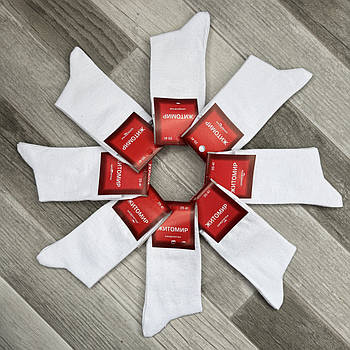 Шкарпетки жіночі демісезонні бавовна Житомир, розмір 35-41, білі, 005