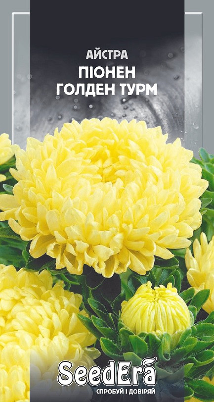 Насіння квіти Айстра Піонен Голден Турм Seedera 0.25 г, фото 1
