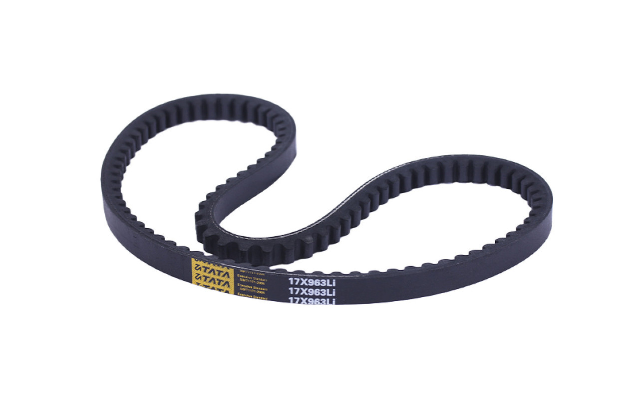 Ремінь TATA 17*963L на бензинові двигуни 168F/170F, L-500 мм*2, фото 1