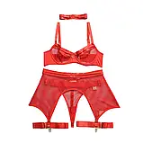 Жіночий комплект нижньої білизни з поясом та підв'язками червоного кольору, фото 10