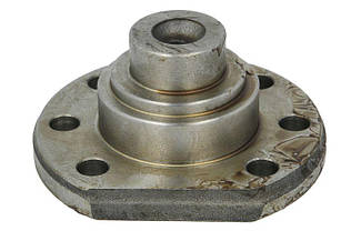 212.06.700.12, 4237809M1, Z101746, 564898, 71490386 Шкворень нижній на Dana