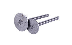 Клапані ТАТА, к-т 2 шт. - 173D