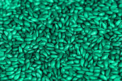 Протруйники