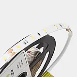 Ціна за 1 м! Світлодіодна стрічка LEDest-Leader 4,8w. 3000k (60шт/м IP33 24V 450lm SMD 2835 36м.гар), фото 3