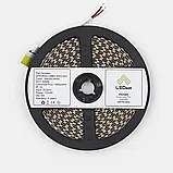 Ціна за 1 м! Світлодіодна стрічка LEDest-Premier 12w 4000k (128шт/м IP33 24V 1800lm SMD 2835 60 міс. гарантії), фото 2