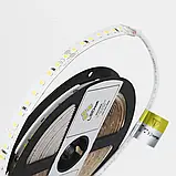 Ціна за 1 м! Світлодіодна стрічка LEDest-Premier 12w 4000k (128шт/м IP33 24V 1800lm SMD 2835 60 міс. гарантії), фото 4