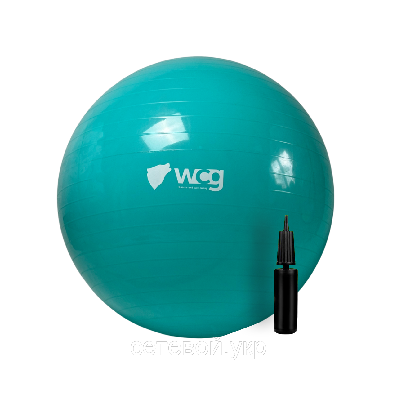 М'яч для фітнесу (фітбол) WCG 65 Anti-Burst 300кг Бірюзовий + насос