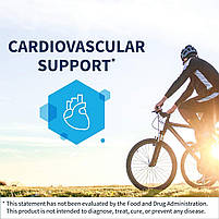 Klaire labs / SFI Health L-Carnitine Tartrate / L-карнітин тартрат підтримка вироблення енергії 60 капсул BX640, фото 4