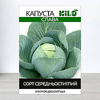 Насіння капусти Слава, 100г (Насіння капусти)