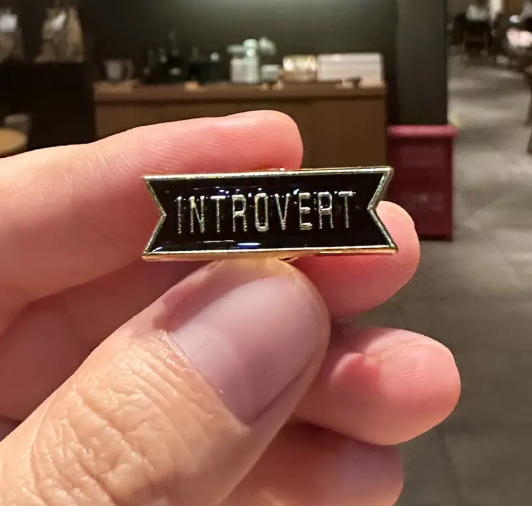 Брошка з написом INTROVERT