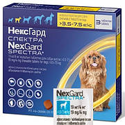 Нексгард Спектра для собак 3,5-7,5 кг Nexgard Spectra таблетка проти бліх, кліщів і глистів, 1 таблетка