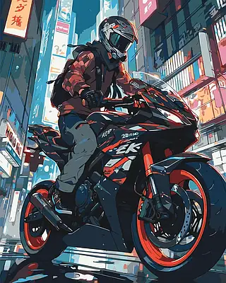 Картина за номерами 40х50 см На мотоциклі Орігамі LW3325