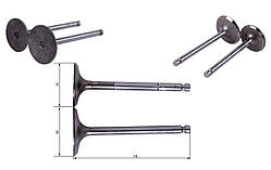 Клапані, к-т: 2 шт. ТАТА - 192D