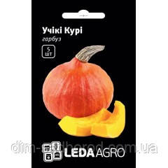 Насіння гарбуза Учікі Курі /5 насінин/ *LedaAgro*, фото 1