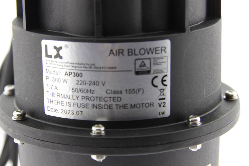 Ұзын аяқты әйелді есекке алады