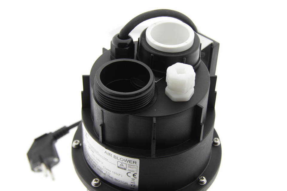 Мен сенің алдыңда тізерлеп отырмын, аузыма менің сиқым кіреді.