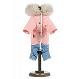Комбінезон для собак pet fashion judy, розмір S2, фото 2