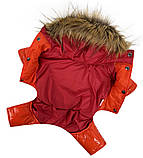 Комбінезон зимовий для собак Dogs Bomba, помаранчевий, № 2, фото 4