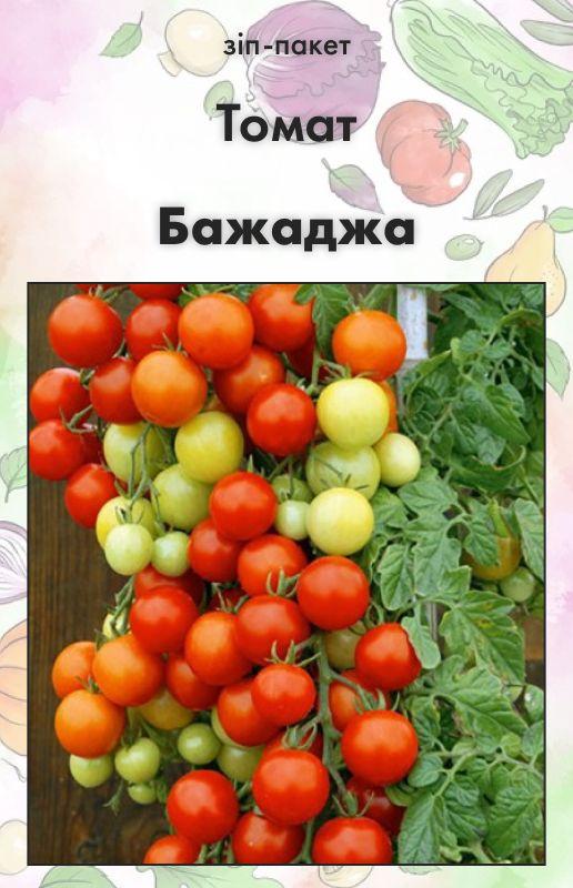 Насіння Томат Бажаджа 15 шт (від колекціонера)