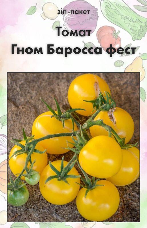 Насіння Томат Гном Баросса фест 15 шт (від колекціонера), фото 1