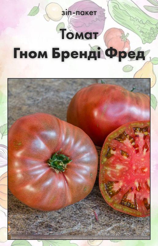 Насіння Томат Гном Бренді Фред 15 шт (від колекціонера), фото 1